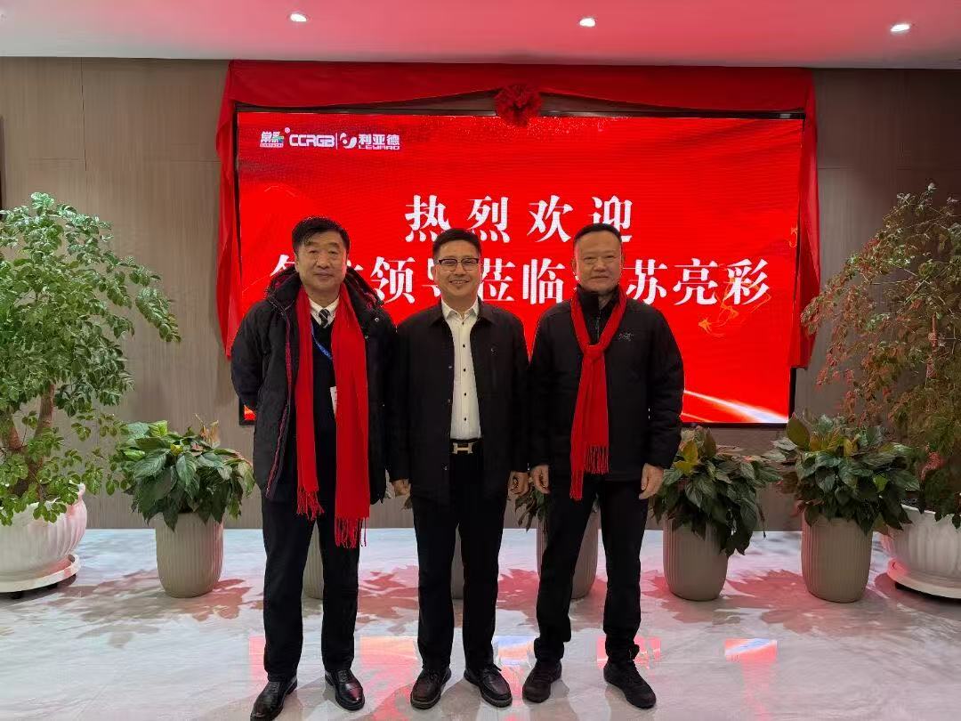 聚焦显示新势能｜行业专家莅临江苏亮彩，共谋发展新引擎