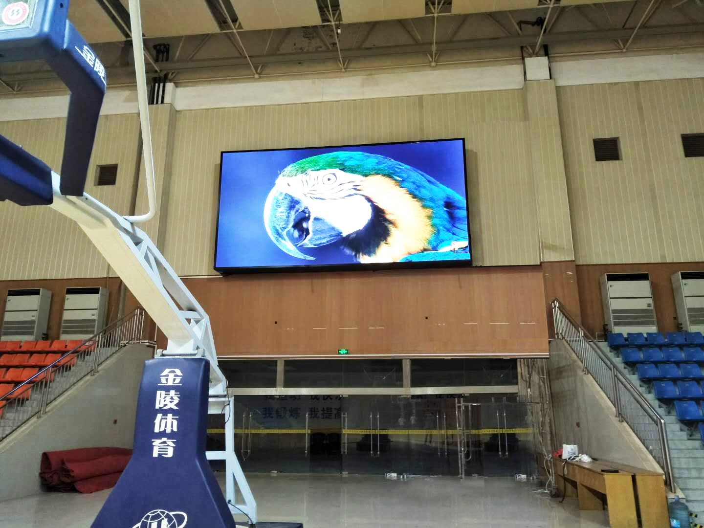 BBt贝博·艾弗森官网