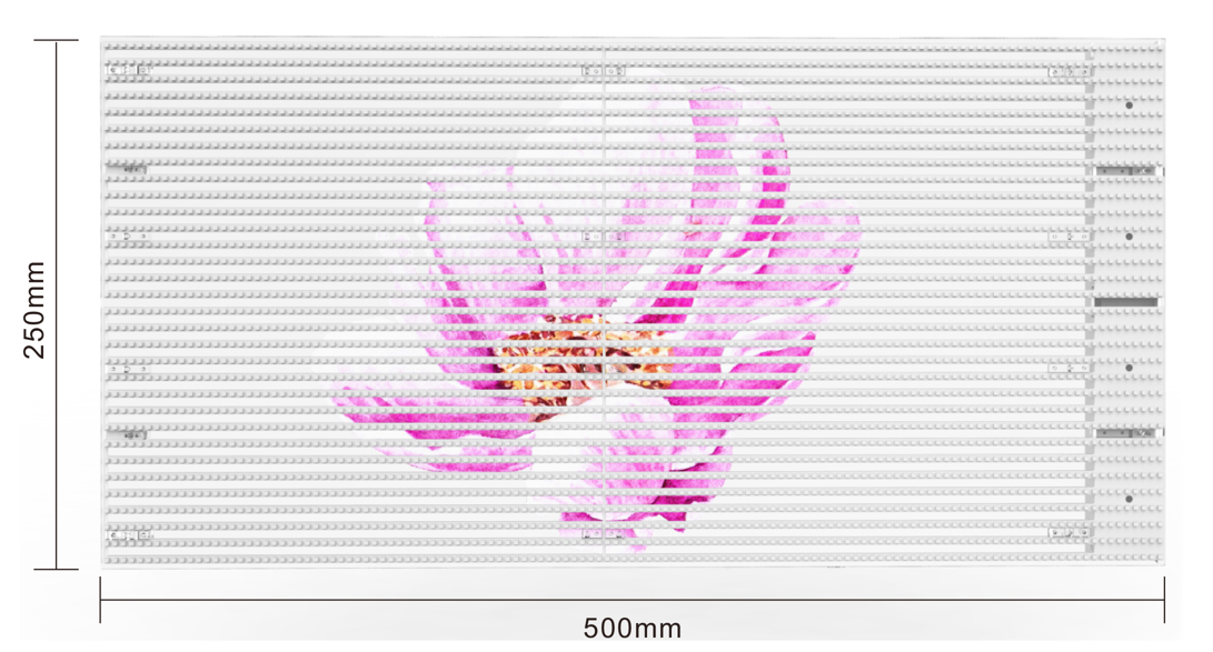 BBt贝博·艾弗森官网