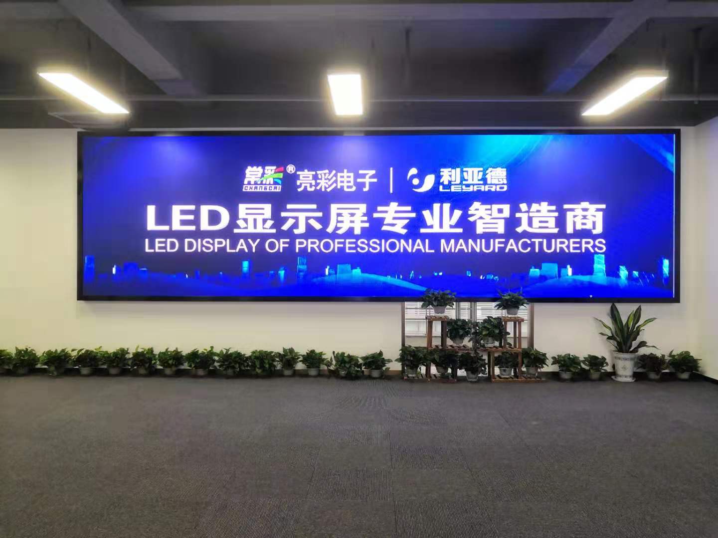 BBt贝博·艾弗森官网