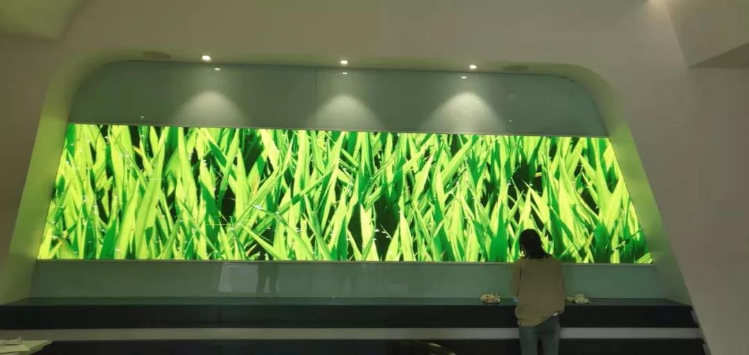 BBt贝博·艾弗森官网