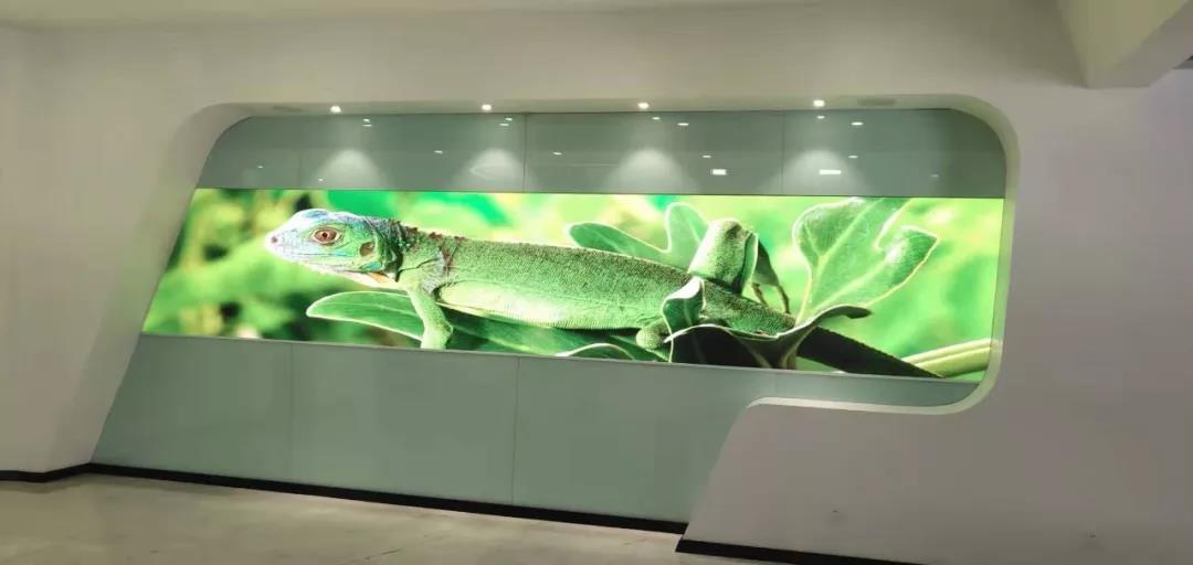 BBt贝博·艾弗森官网