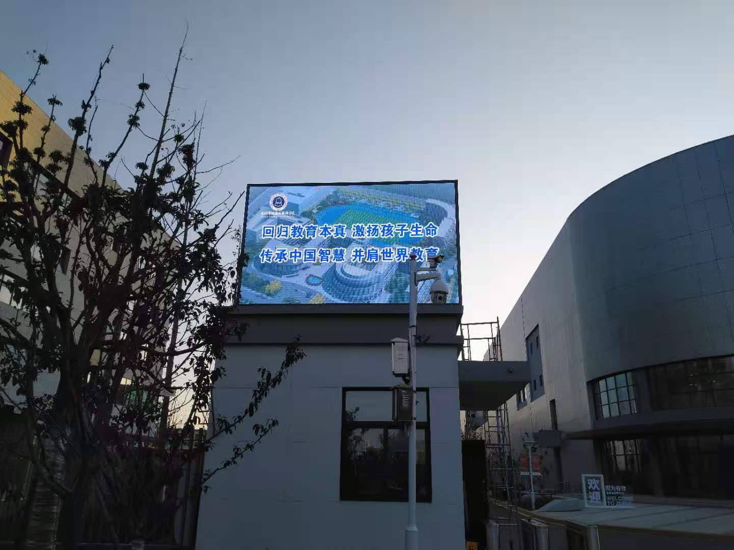 BBt贝博·艾弗森官网