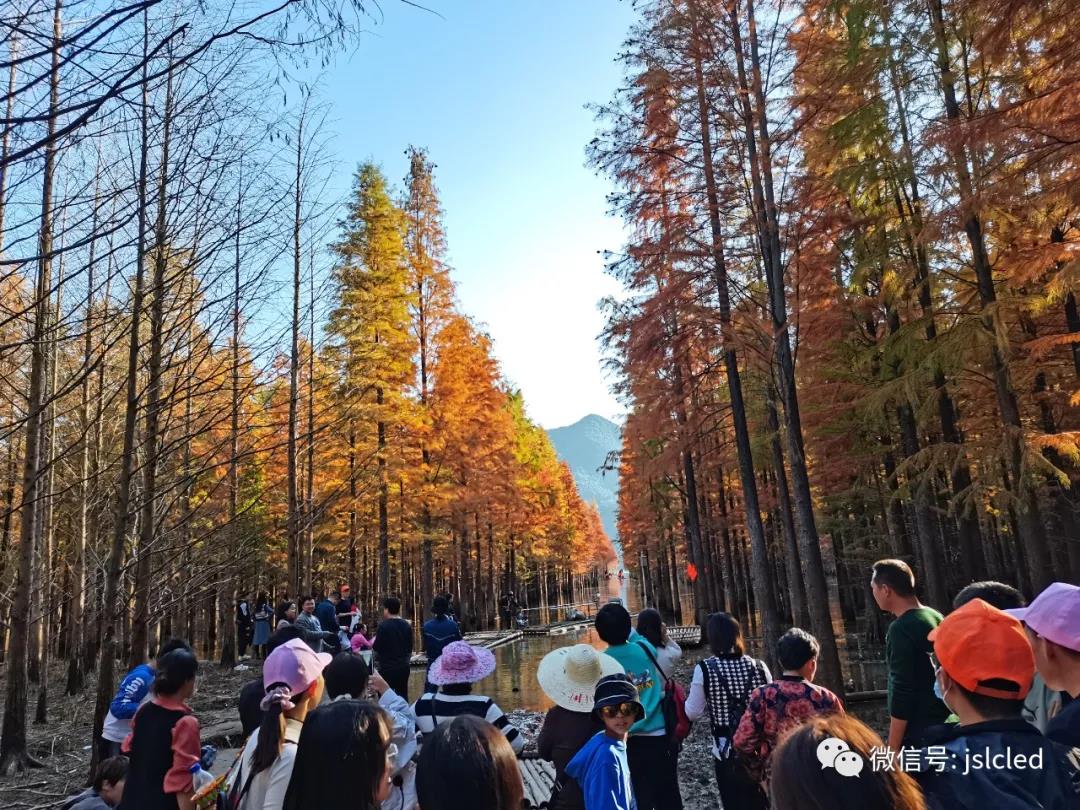 BBt贝博·艾弗森官网