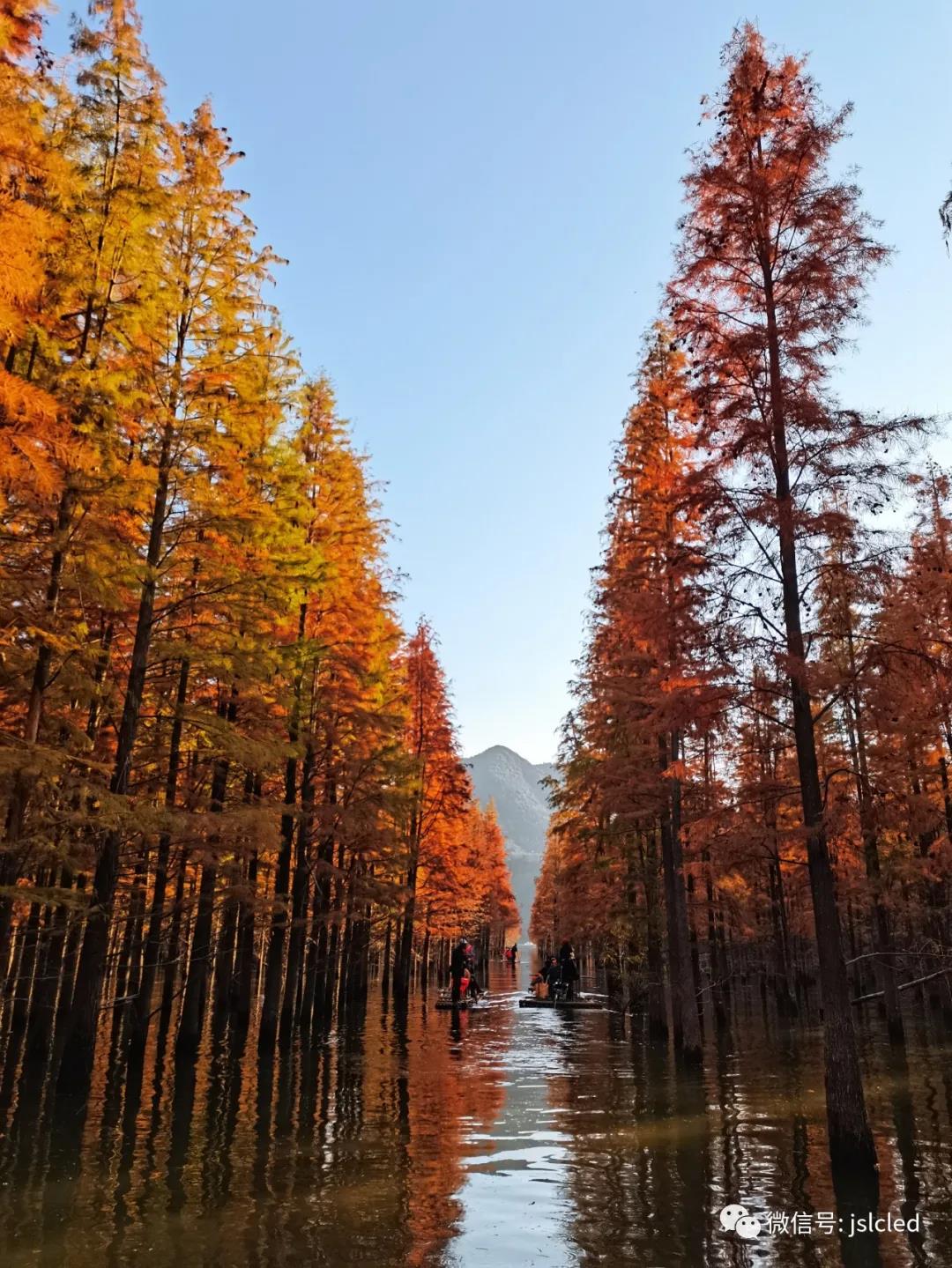 BBt贝博·艾弗森官网