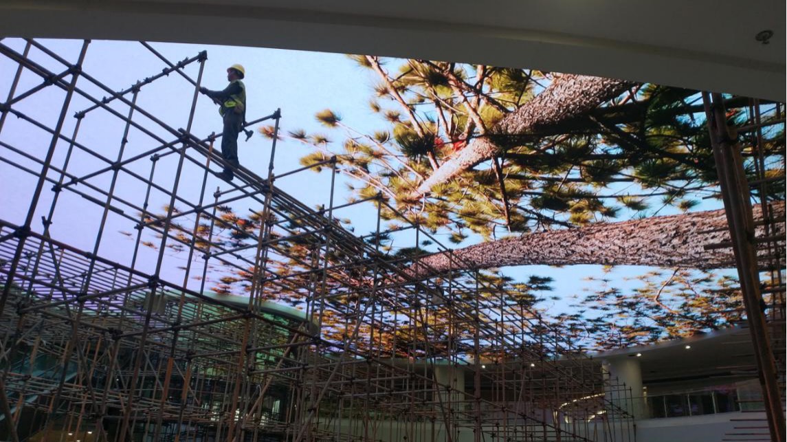 BBt贝博·艾弗森官网