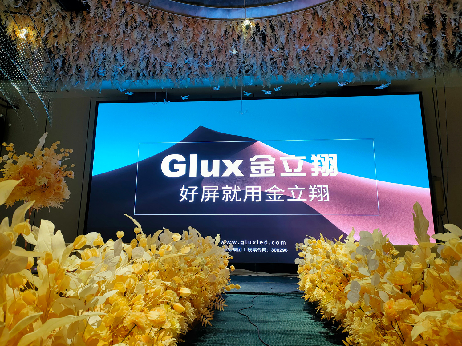 BBt贝博·艾弗森官网