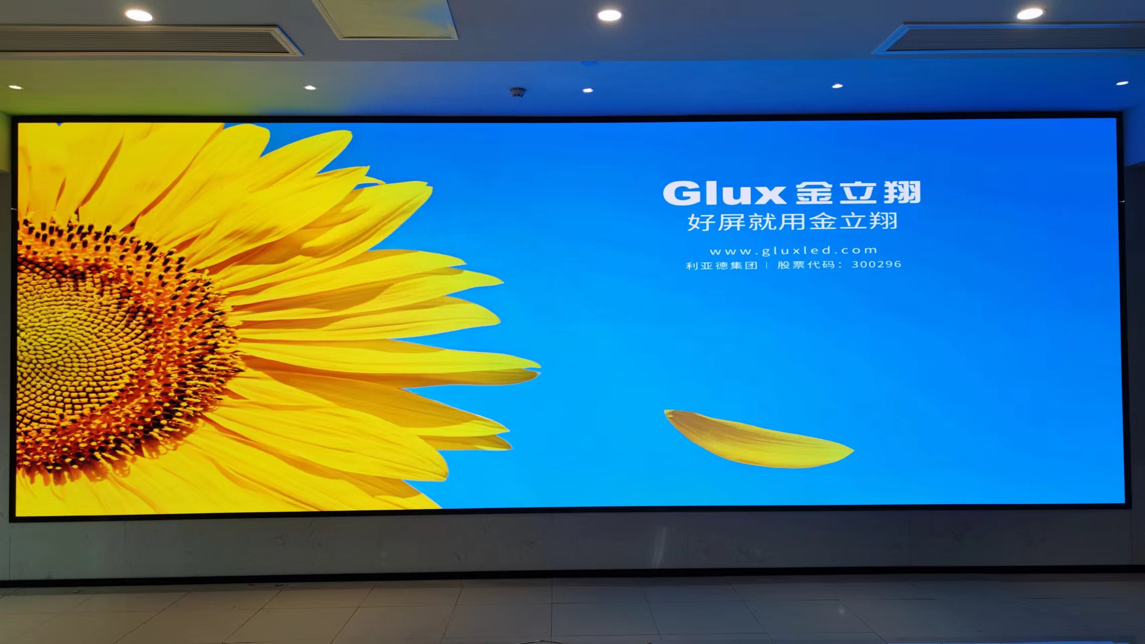 BBt贝博·艾弗森官网