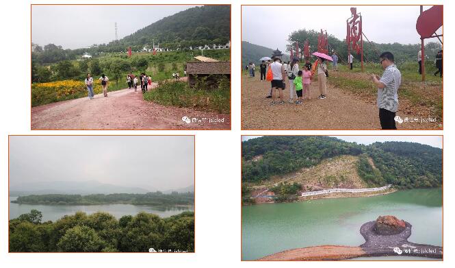 BBt贝博·艾弗森官网