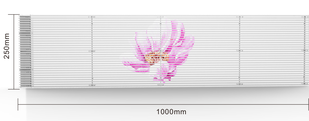 BBt贝博·艾弗森官网
